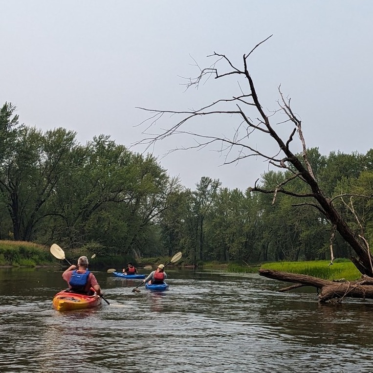 The river awaits you! 

#backwaters #exploremn #riverrat #getoutside #driftless #minnesota #wisconsin #kayaking #mississippiriver #mississippiriver #wabasha #minnesota #wisconsin