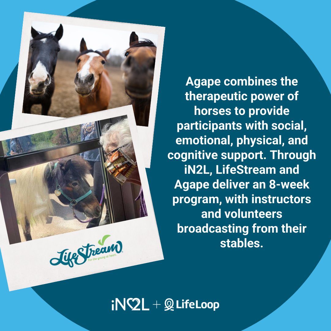 LifeStream Services won the Brilliance in Individual Engagement Award for combating senior isolation. They brought horse therapy to remote seniors in Indiana through an 8-week virtual program. Learn more about their successful efforts here: hubs.ly/Q01WfZr80