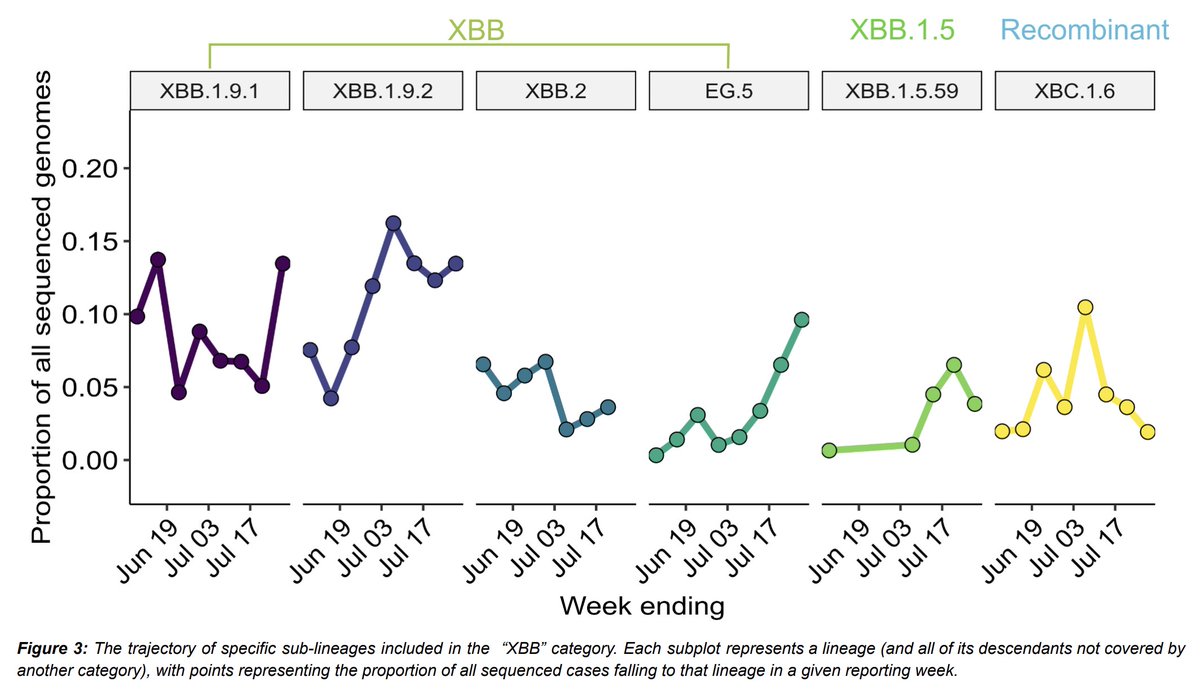 New #COVID19 update for Aotearoa New Zealand: 👉XBC.1.3 = 24% of sequenced cases, growing 👉XBB still common at 59% 👉XBC rises w/ decreasing total cases 👉EG.5 sublineage not causing a surge 👉#Wastewater: XBC variant rising, XBB most prevalent See more esr.cri.nz/our-expertise/…