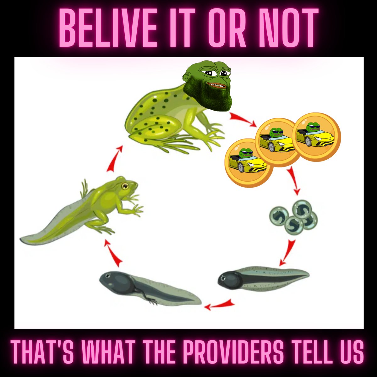 BullfrogBFF's tweet photo. THATS WHAT THEY TELL US ABOUT OUR PAST !
CHANGE MY MIND LITTLE FROG🐸

#memecoin #memecoins #MemeCoinSeason #memetoken #memetokens #Crypto #CryptoTwitter #cryptomarket #BFF #Arbitrum https://t.co/ZsWfxpLWdR