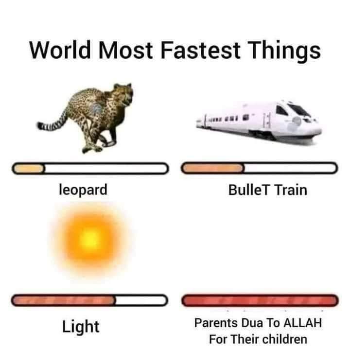 islamicfreedom's tweet photo. May Allah grant Jannah to our Moms. https://t.co/wkNlwvZB32