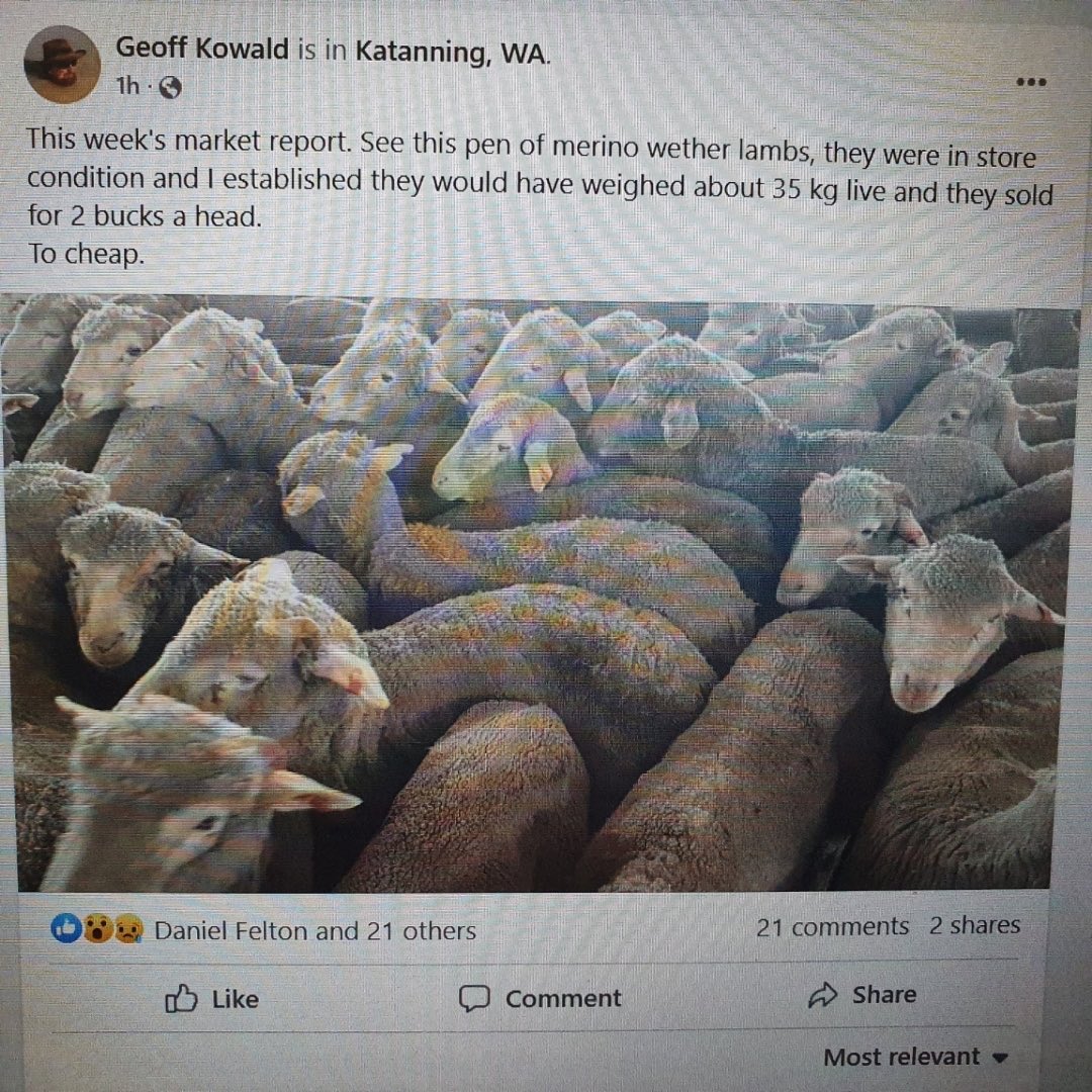 Scott Smith tweet media
