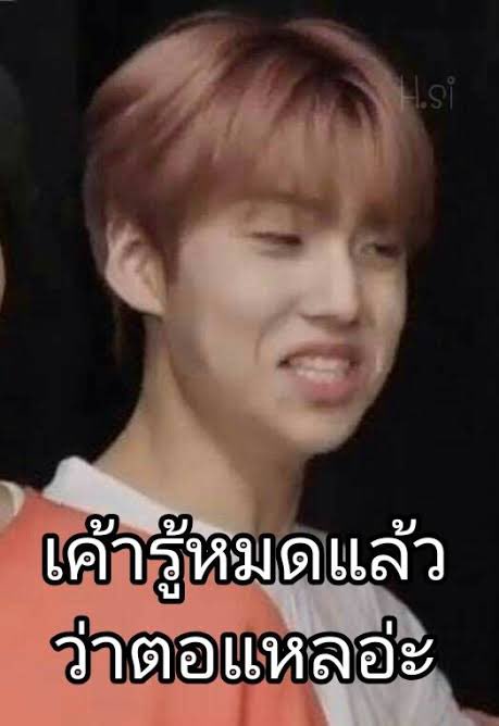ShopKhai.bkk tweet media