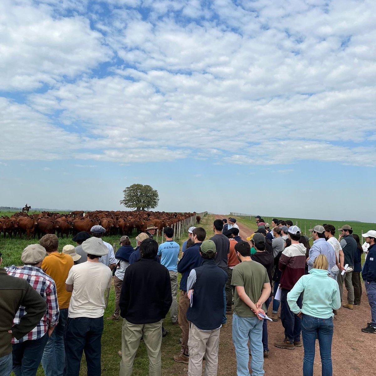 Visita de Estudiantes de 4º de Agronomía a Estancia El Cerro. Conversamos sobre #Ganadería #Lupino #Corrales