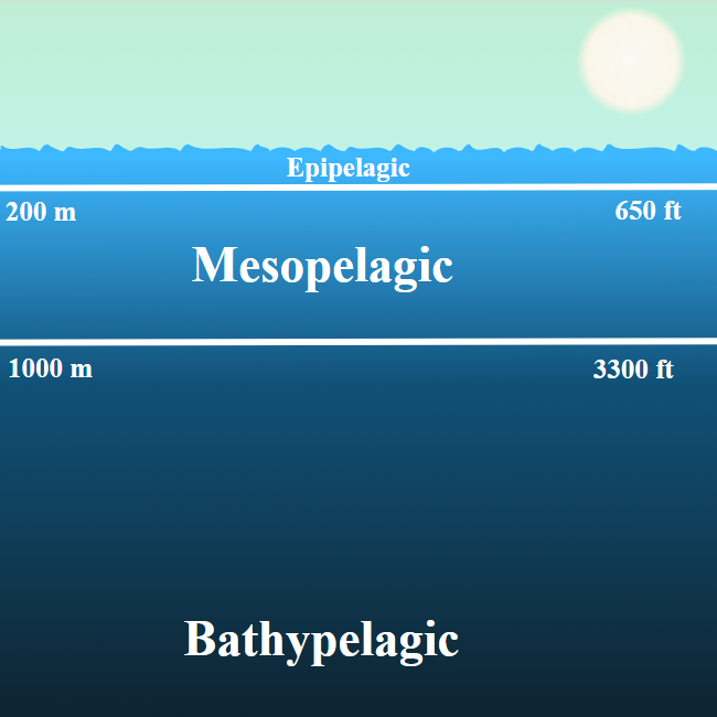 bhgross144's tweet photo. @LindaHall_org You're traveling through another dimension, a dimension not only of sight & sound but of mind...the signpost up ahead: The Mesopelagic Zone.
@caseymaui notes this part of the ocean (a.k.a. The #TwilightZone) has more marine life than the rest of the ocean combined! #LHLLive https://t.co/5cyhfO2Tgo