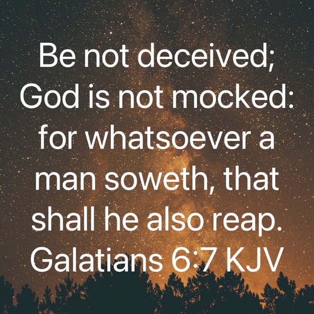 JosephReddick1's tweet photo. https://t.co/XbQghwhJX6 https://t.co/GRw0ZneinJ
