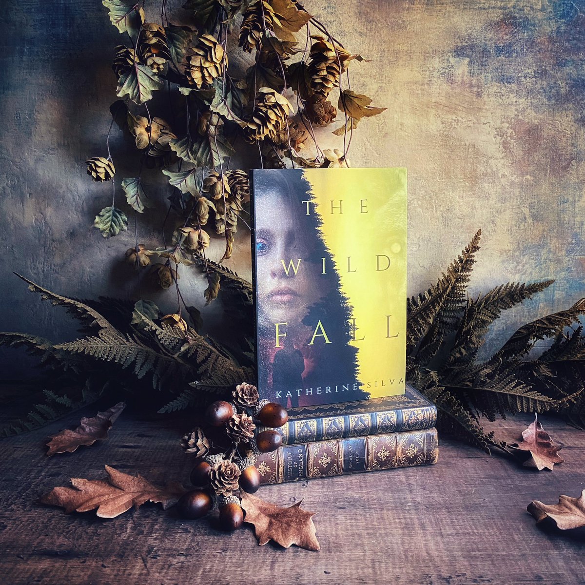 dlgillis20's tweet image. Happy release day @KatherineSilva_! I loved The Wild Dark and The Wild Fall is a great follow up to that book. Perfect dystopian horror, with some interesting characters and fascinating world building. Highly recommended!