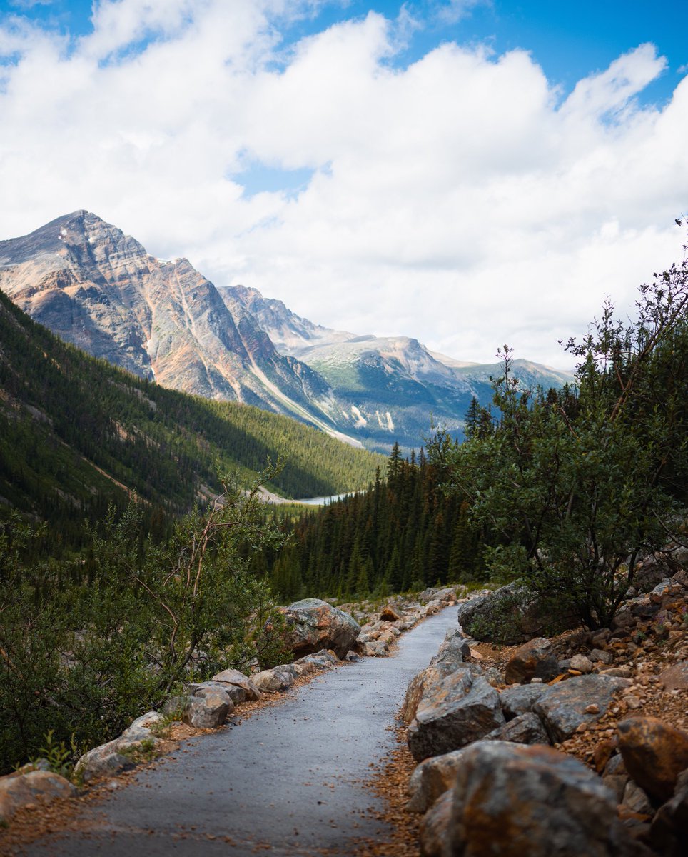 gwmorganphoto's tweet photo. Some photos from a recent trip to #jasper https://t.co/Pud0AGUuHQ