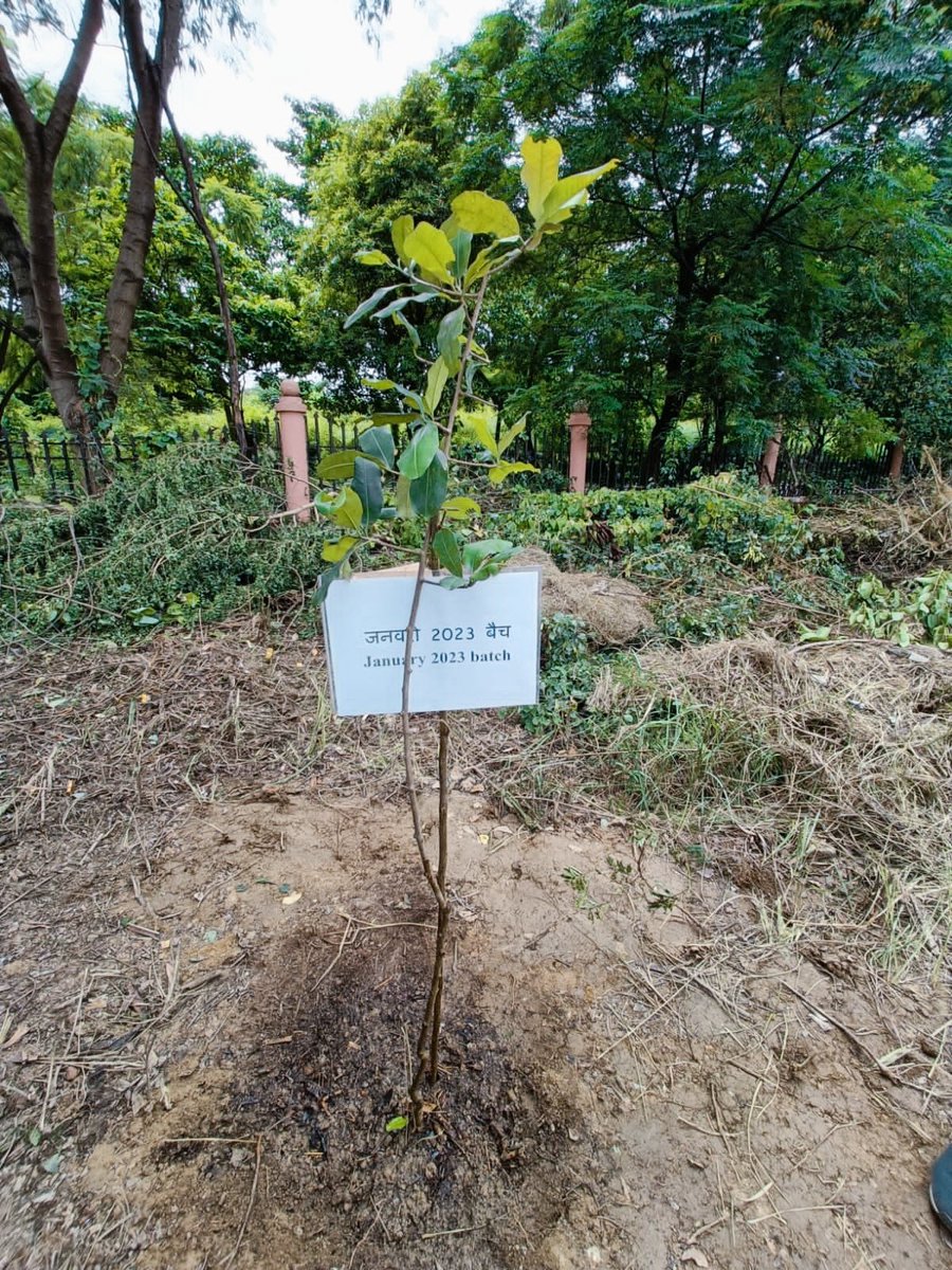 ritu_lab's tweet photo. Whether it is plant, a fig or an elephant
It is prepensely on the docket by nature
My will or your will do not matter
What matters is whether you could do it
But in the bigger picture again it is contained
By elements of nature nebulous to we people
ritu's lab https://t.co/1OJleBx28D
