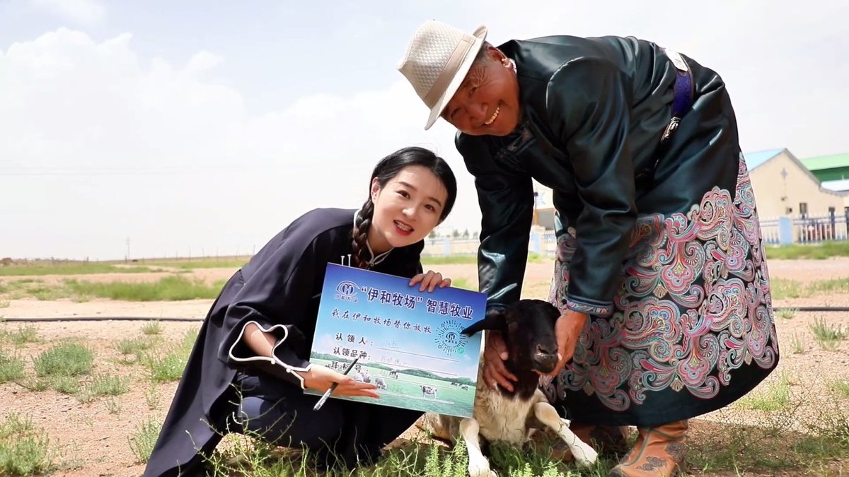DiscoverOrdos's tweet photo. You can now adopt a sheep, horse, camel, or cow through a mini-app launched by Yihewusu Town of Hangjin Banner and China Telecom! Embrace the joy of cloud-based grazing from home, while supporting herders in overcoming sales challenges. #OrdosFocus https://t.co/BdxdDARpZb