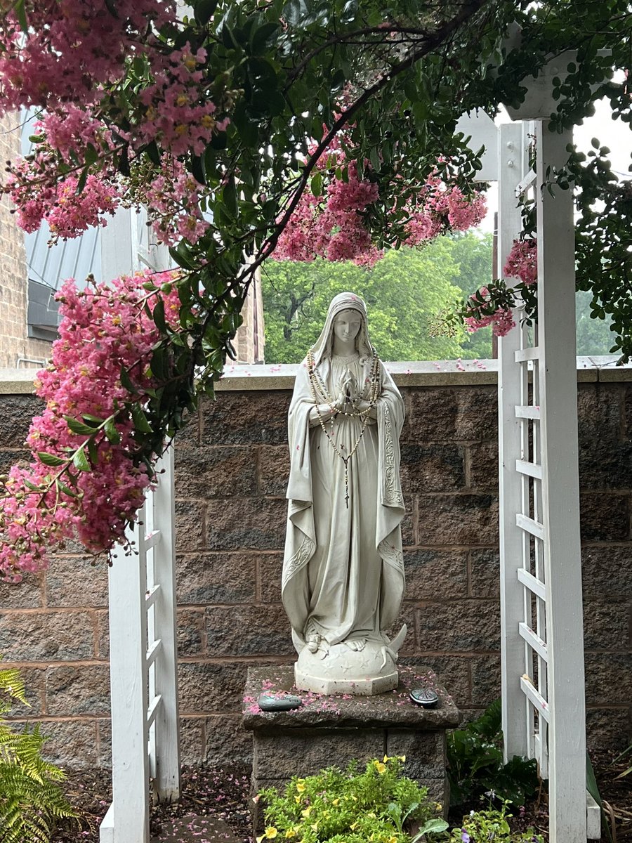 Devocionario61's tweet photo. Oh Madre amorosa…. Enseñame a amar a Jesús 🙏 https://t.co/YdNBARYdel