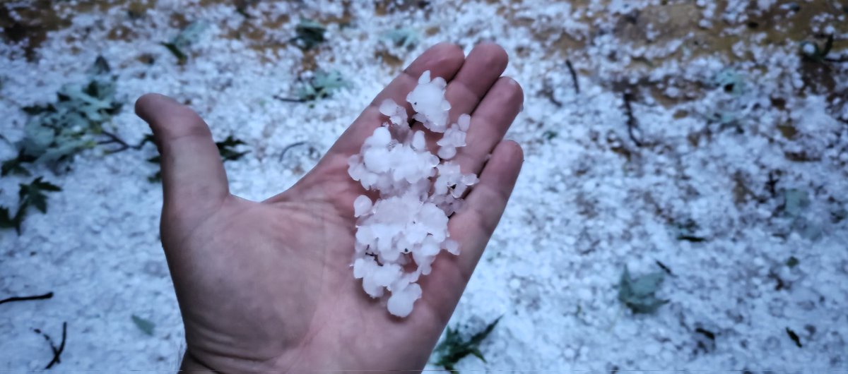 AaronTh08785676's tweet photo. #ONStorm #omemee #pigeonlake
This just passed, 3/8-1/2" size #hail will give me less raking in the fall https://t.co/ve3oaPKmds