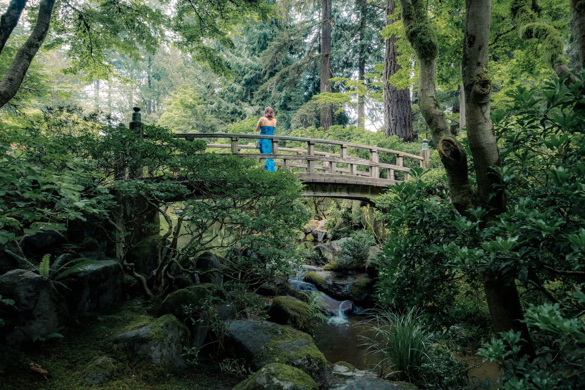 These images are my two most recent submissions to @superrare and the <a href="/sloikaxyz/">Sloika.xyz</a> open submission. Thoughts?