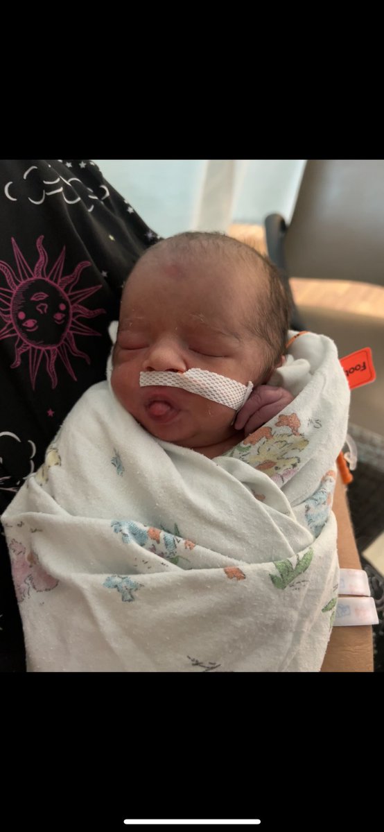 DaelynDean's tweet photo. I never knew I could love something more than myself but man these baby boys have me beat 🥹 https://t.co/nUjK6E5zj4