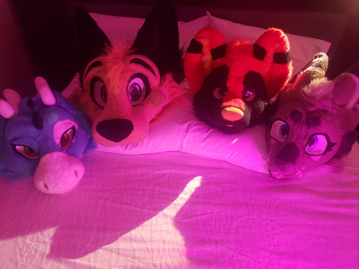 CryptsCorner's tweet photo. We are here @canFURence 🇨🇦🐾

🐾: @canelle_potato @Shado_wolff @Intel17477363 @DJDonut_Rexoium https://t.co/UMBtTCqQVM