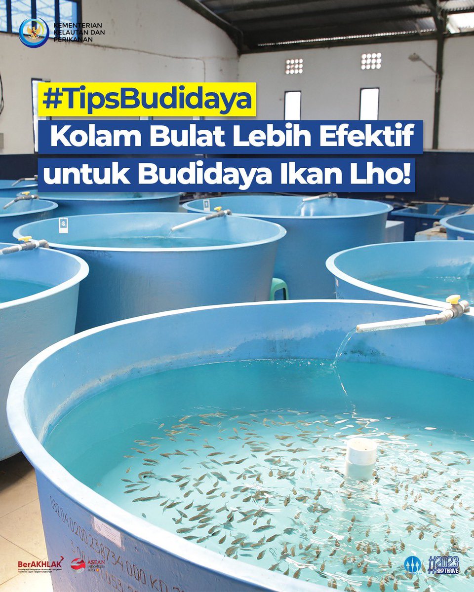 kkpgoid's tweet photo. Hai #SahabatBahari, yang masih bingung membuat kolam budidaya ikansini merapat. Baiknya kolam persegi atau kolam bulat ya, Min? 

Kedua bentuk kolam ini tentunya memiliki fungsi dan manfaat masing-masing. https://t.co/INuLt1NFcB