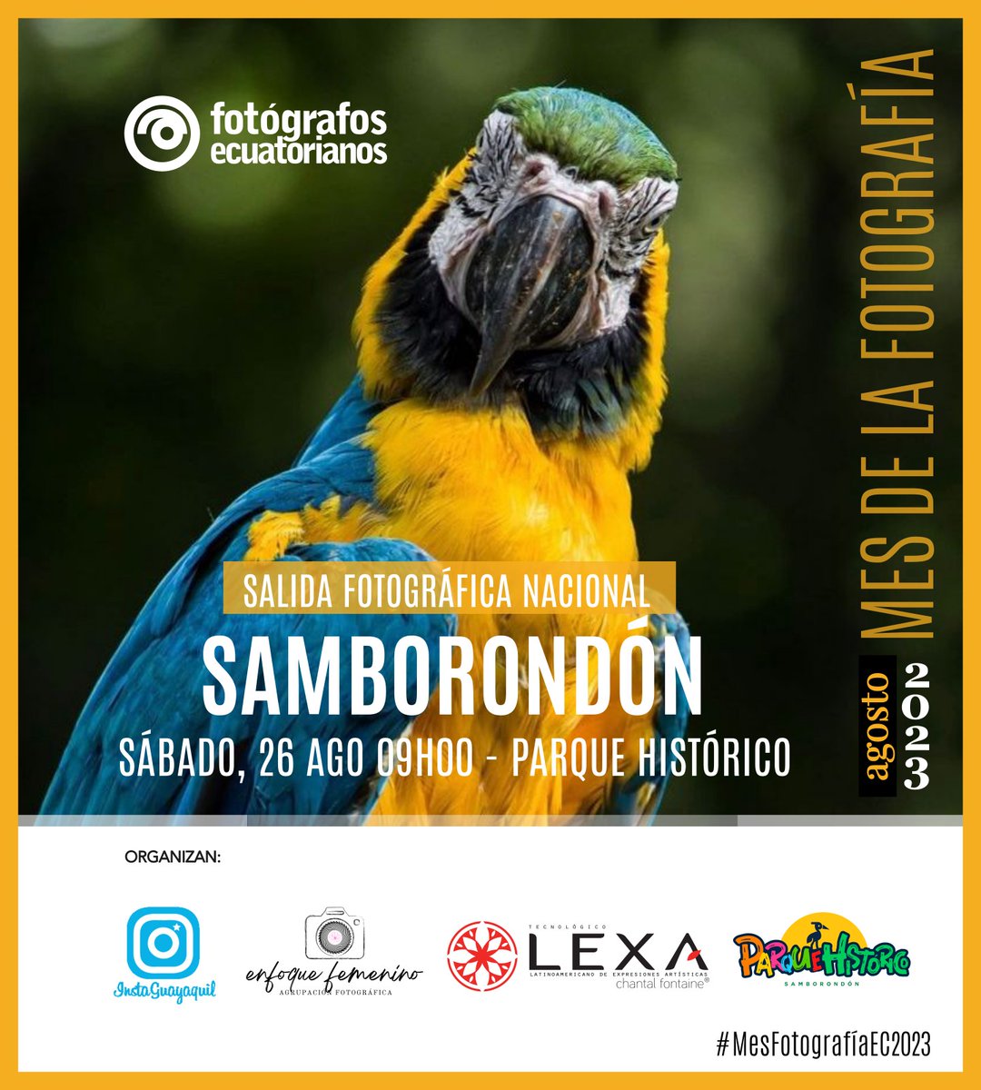 📢¡Últimos cupos!
Te invitamos a un emocionante recorrido fotográfico en el Parque Histórico Samborondón 🌳🏰, organizado por los colectivos “Instaguayaquil”, “Enfoque Femenino” y el Instituto Lexatec 🤝✨
Inscripción aquí👉forms.gle/gQYTxyn33ZAVXA…