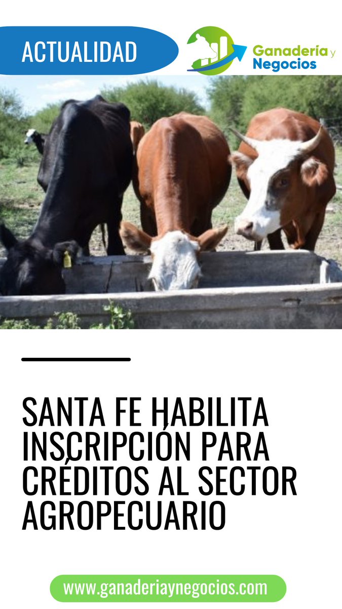 gynegocio's tweet photo. Nueva línea de créditos para productores en la provincia de Santa Fe. Leé más en https://t.co/d6gXkWJqS5 https://t.co/xPINOntPwv