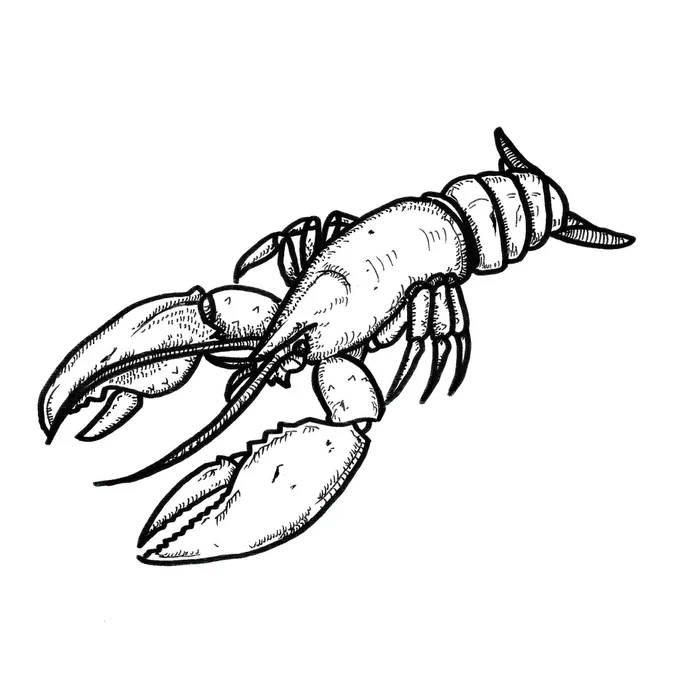 lobster i drew 7 years ago