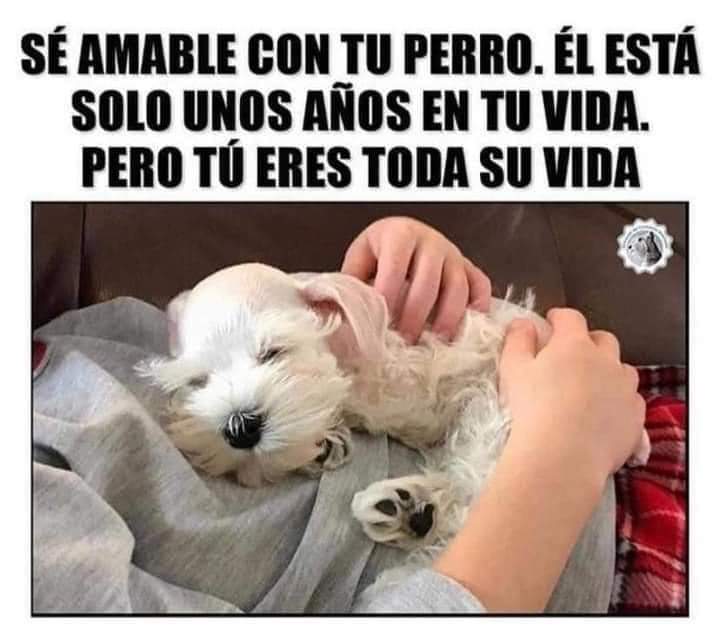 GRamirezF_D12's tweet photo. Buenas noches ✨💖 https://t.co/oSuWPUv1Up