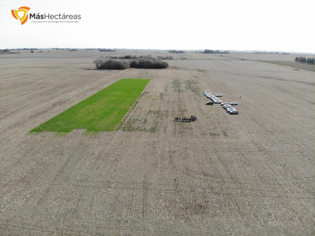 Consultora Más Hectáreas tweet media