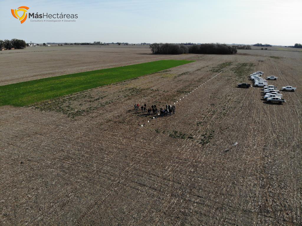 Consultora Más Hectáreas tweet media