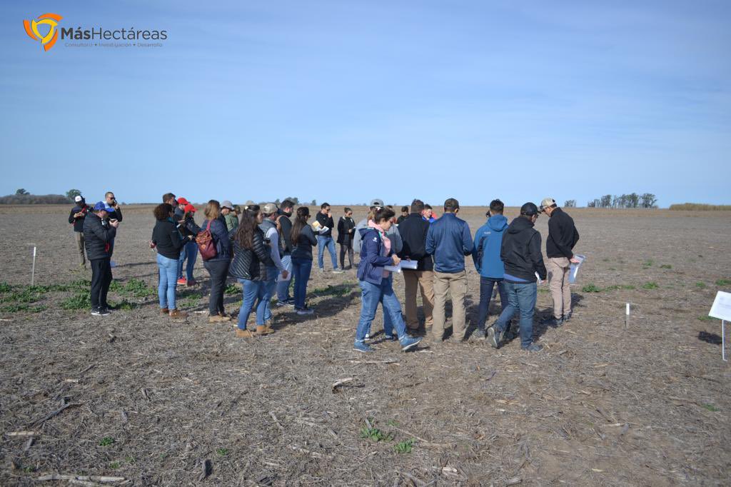 Consultora Más Hectáreas tweet media