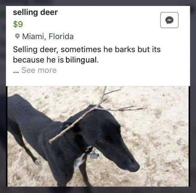 WholesomeMemes (@wholesomememe) on Twitter photo 