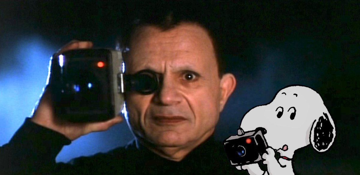 lala 🦠 (@ecto_fun) on Twitter photo 