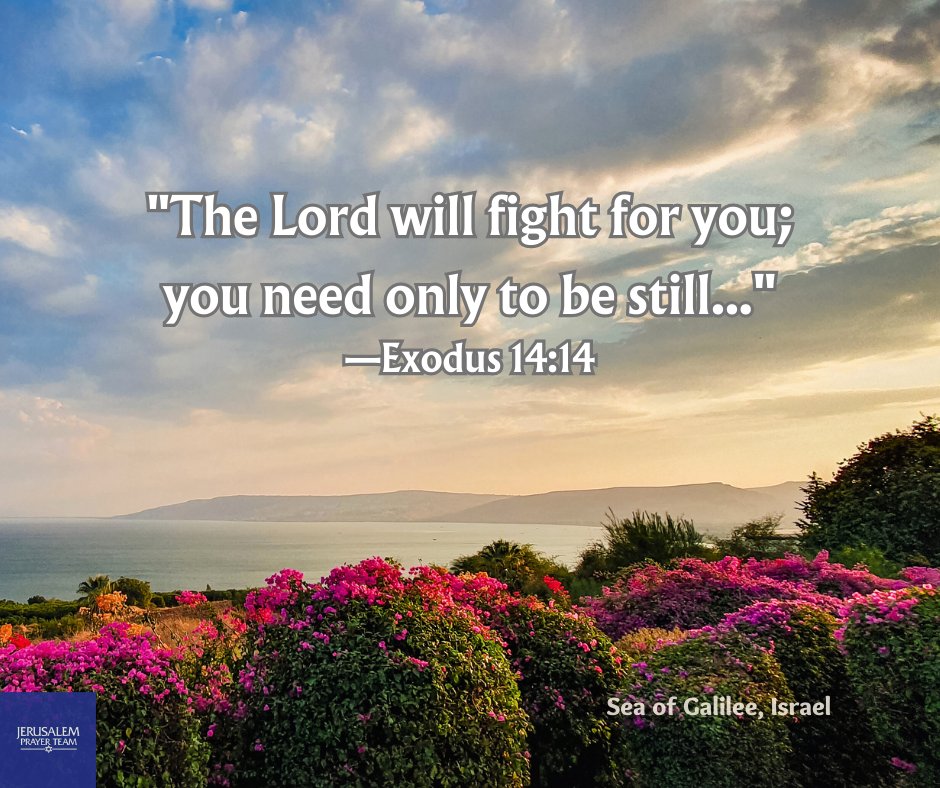 'The Lord will fight for you; you need only to be still...' 
—Exodus 14:14

Amen!

#RestInHim #TheLordIsMyShepherd #PeaceBeStill #Believe #SeaOfGalilee