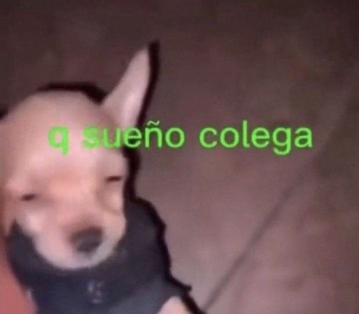 Yo después de que mi día se base en ayunar, atracarme y vomitar