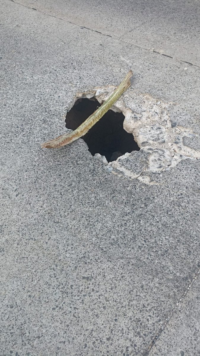 Ernesto Gómez tweet media