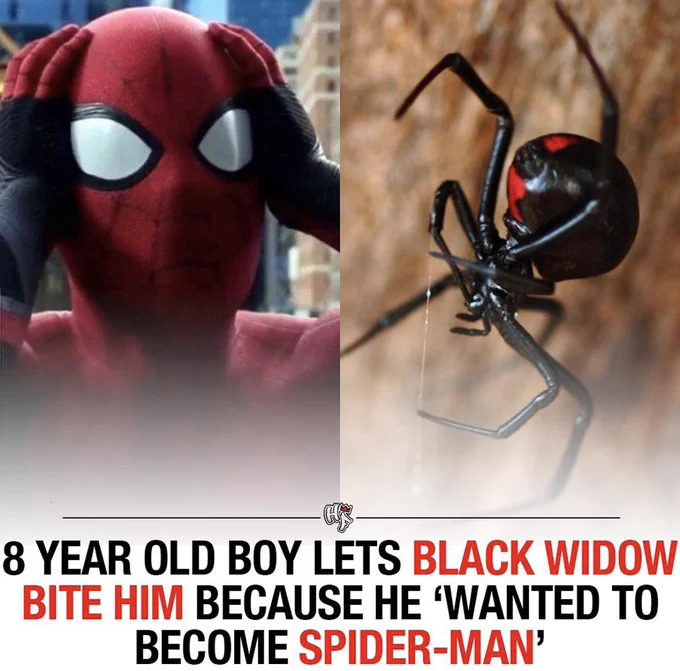 kabalyero's tweet image. I think he got bitten by the wrong spider. I hope the boy didn&apos;t turn into #ManSpider