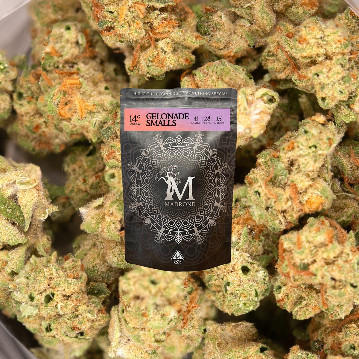 madronegrown's tweet photo. Sparkly and loud Gelonade Smalls getting packaged this week! Who wants some?

31% CANN
28% THC
1.5% TERPS

@7STARSHHC @The_Bright_Spot https://t.co/xhTKLU0LyV
