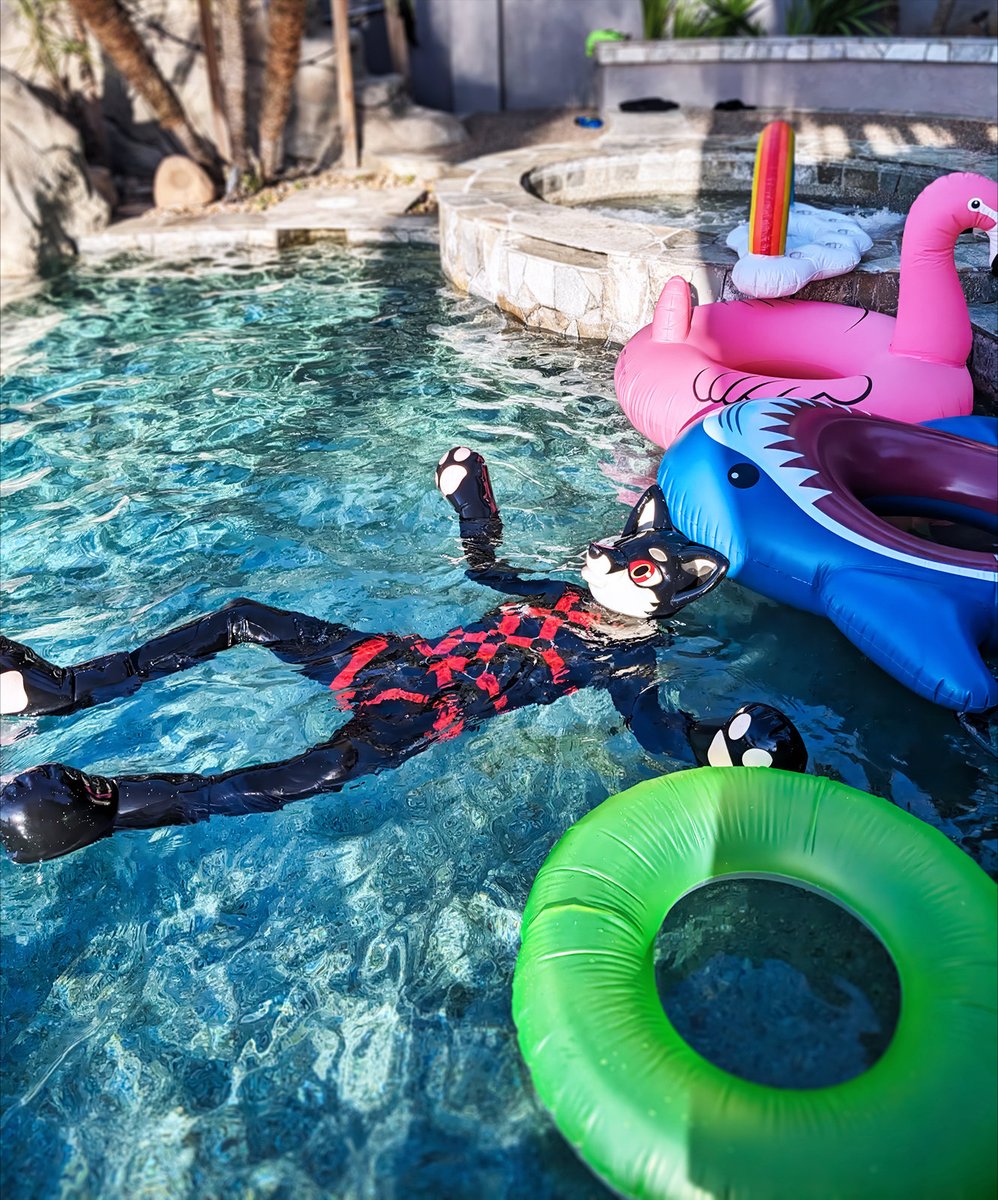 Just one of the toys 🦊🦈🦩🛟

📷: <a href="/rubberdalton/">Dalton Jay</a>
Hood: <a href="/karinKariwanz/">Karin / Kariwanz カリン / カリわんズ</a>
Paws: <a href="/RubberPaws/">Rubber Paws</a>
Harness: <a href="/Crunchycurl/">Crunchycurl</a>