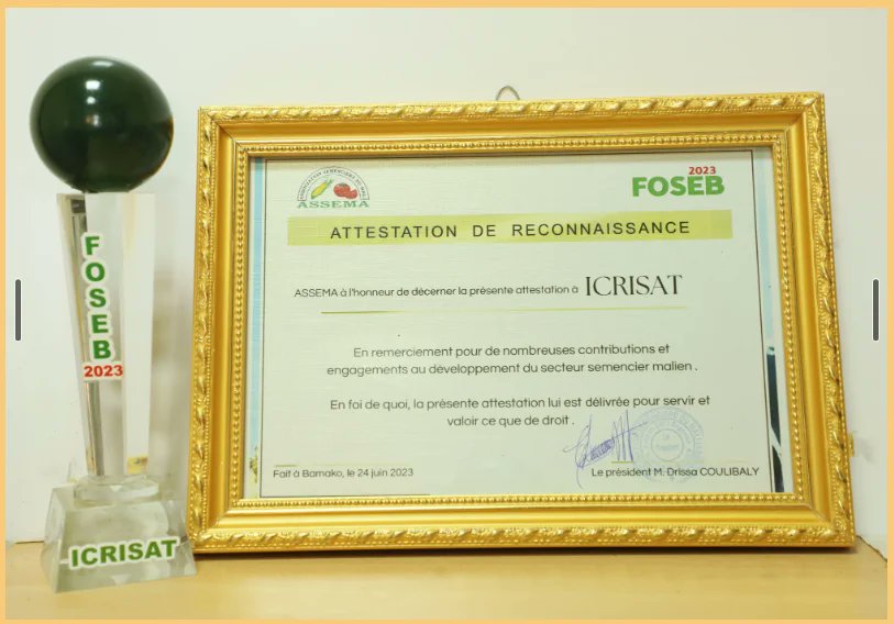 ICRISAT's tweet photo. A remarkable moment at Mali's 11th Seed Fair!
#ICRISAT received a Certificate of Appreciation from the Seed Association of #Mali. 🏆
Big thanks to ASSEMA, IER, and other national partnerships for their instrumental role in delivering at scale.
#agriculture #SeedFair https://t.co/ry5VgoXx77