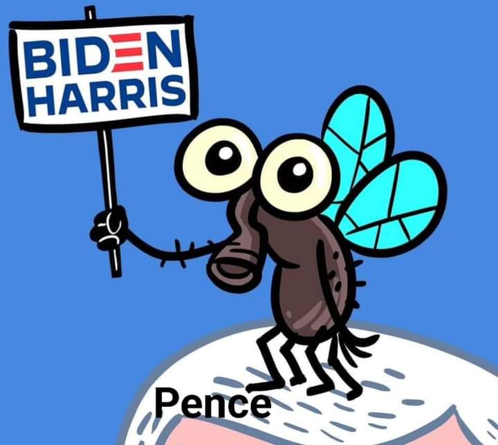 ArmedPatriot45's tweet photo. Even the fly knew, didn't he, @Mike_Pence?
Btw, what did you end up spending those 30 pieces of silver on?
#Judas
#FMikePence https://t.co/OyqflTzYpv