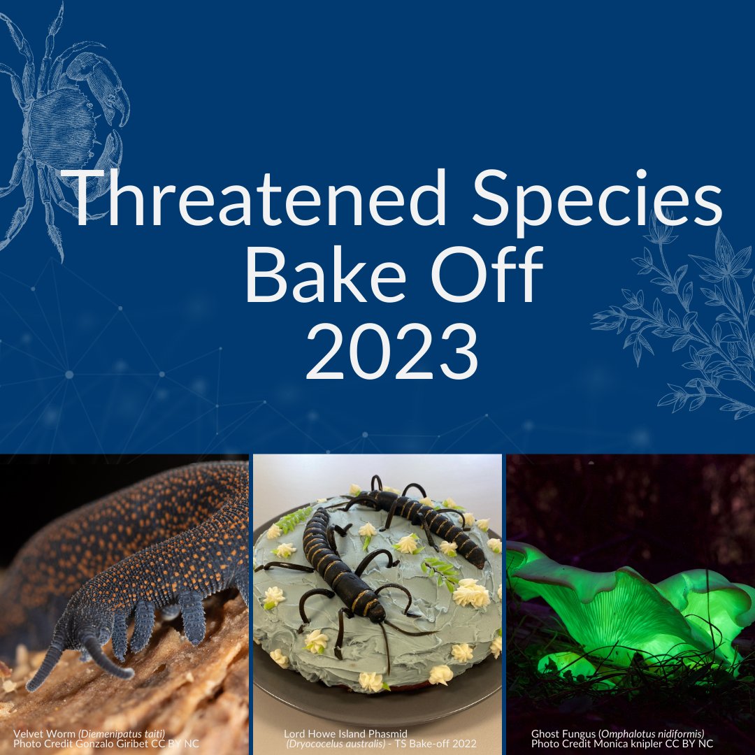 ⭐ Get ready for the @TSCommissioner's Threatened Species Bake-Off! ⭐

🦋 Check out our latest blog to get some inspiration & share the love for underrepresented Aussie species this year! 
🔗 spr.ly/6019PbTIv

Tag #TSBakeOff2023 with your entries from 24 Aug!