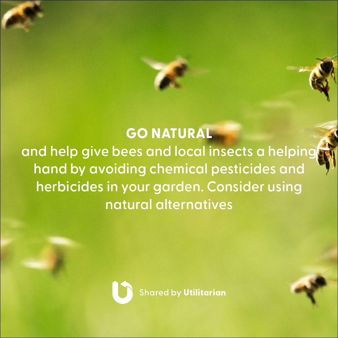 Utilitarian.World tweet media