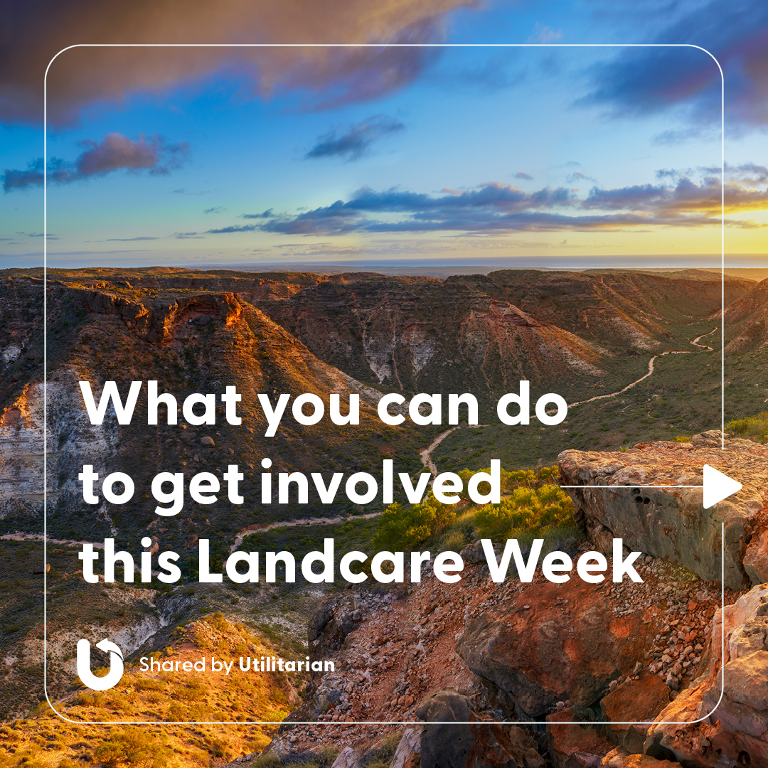 Utilitarian.World tweet media