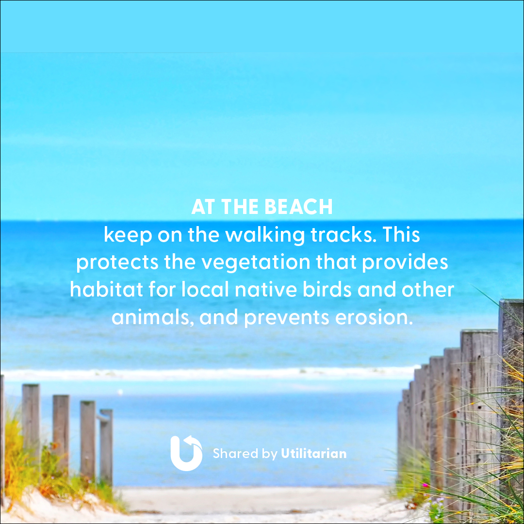 Utilitarian.World tweet media