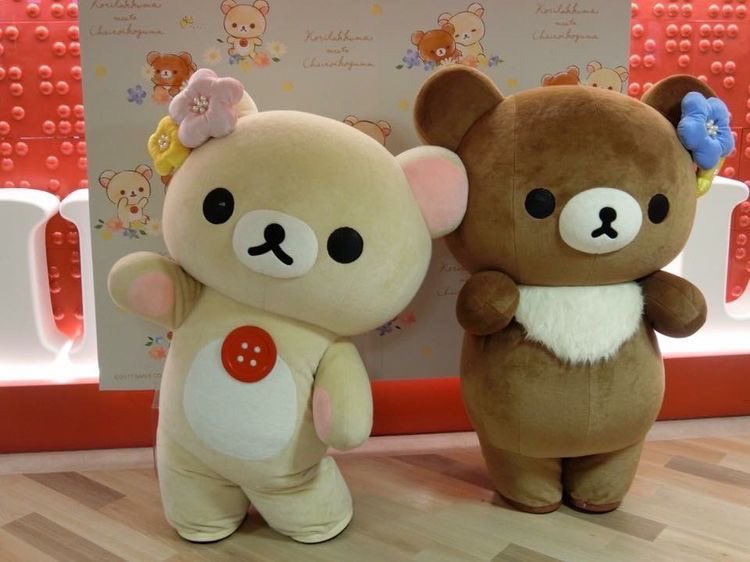 sakurafraise's tweet photo. this is literally what me n my best friend look like https://t.co/kbDvM2WQ7l