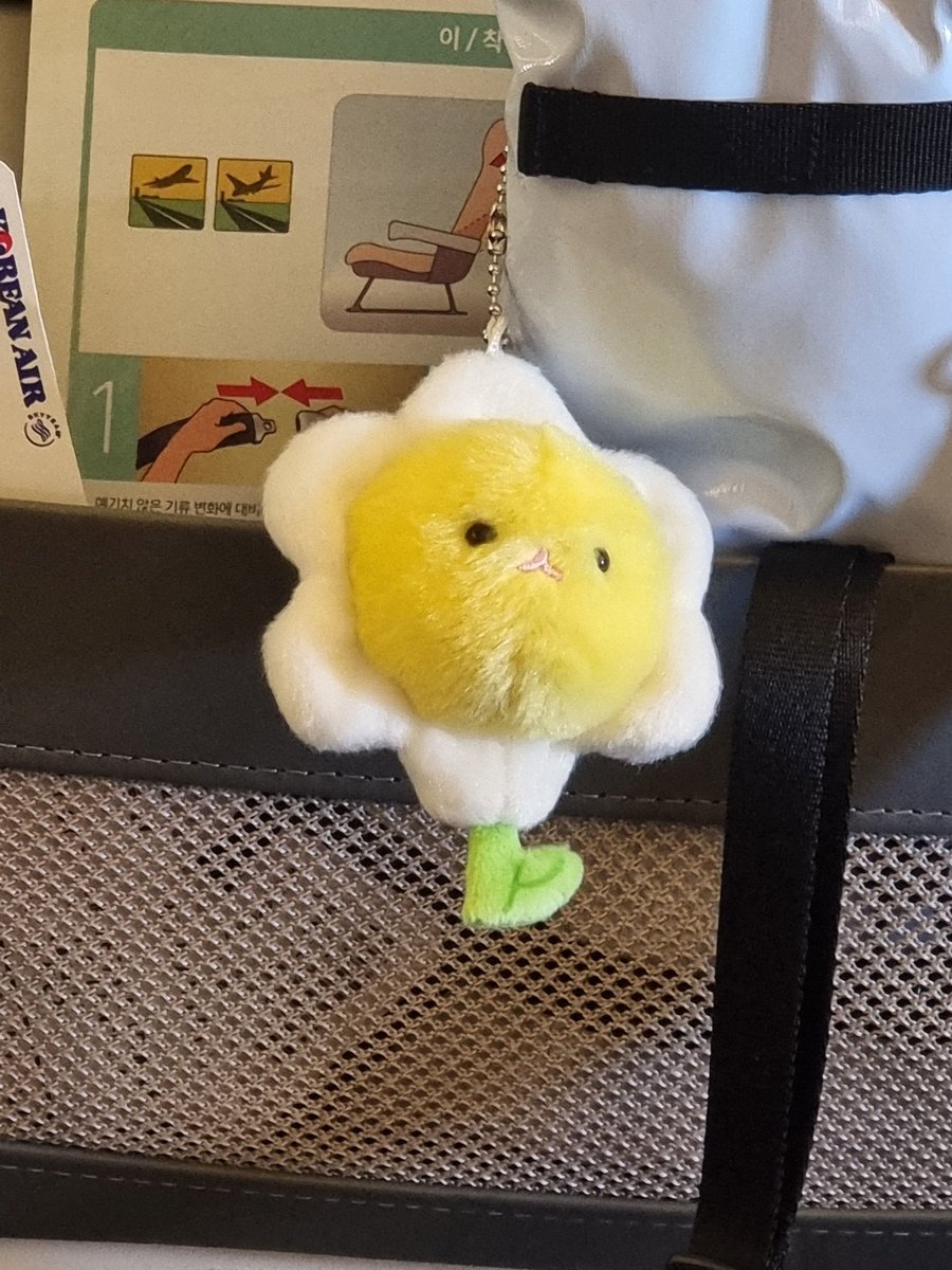 theboyzfolder's tweet photo. [230804] 💬 from 🥭 

sangyeon sent his doll. everyone, meet sangdelion (sangyeon-dandelion) 🤍 https://t.co/6Gc21lpYO8