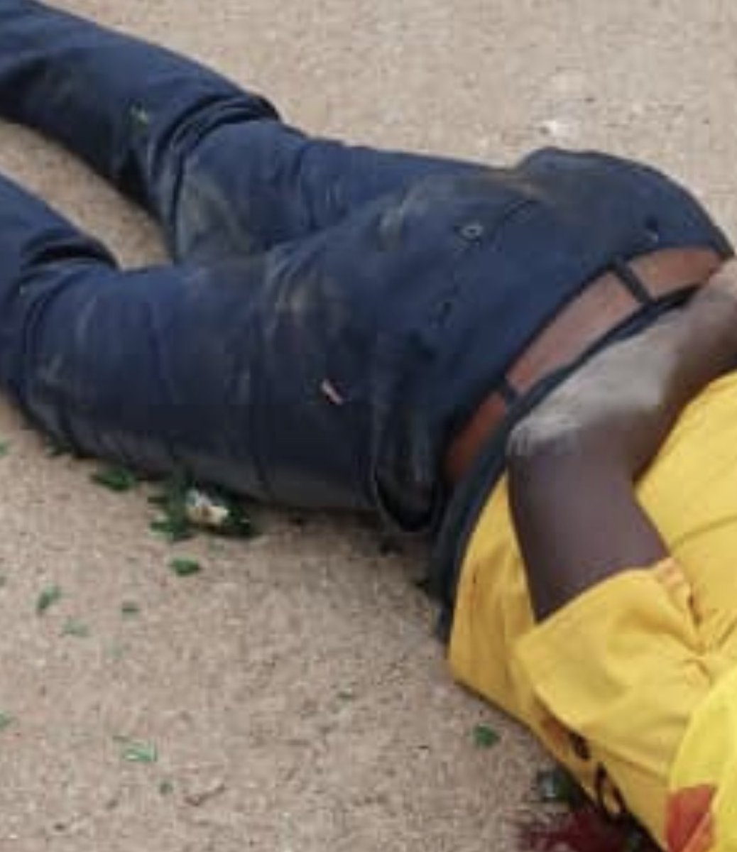 advocatemahere's tweet image. 🟡Constitutionally, it’s not the role of @PoliceZimbabwe to decide the facts of what happened in a murder case. They must investigate &amp;amp; promptly arrest then send it to court for trial. We don’t want a statement on Tinashe Chitsunge’s  murder. We want swift arrests &amp;amp; prosecution.