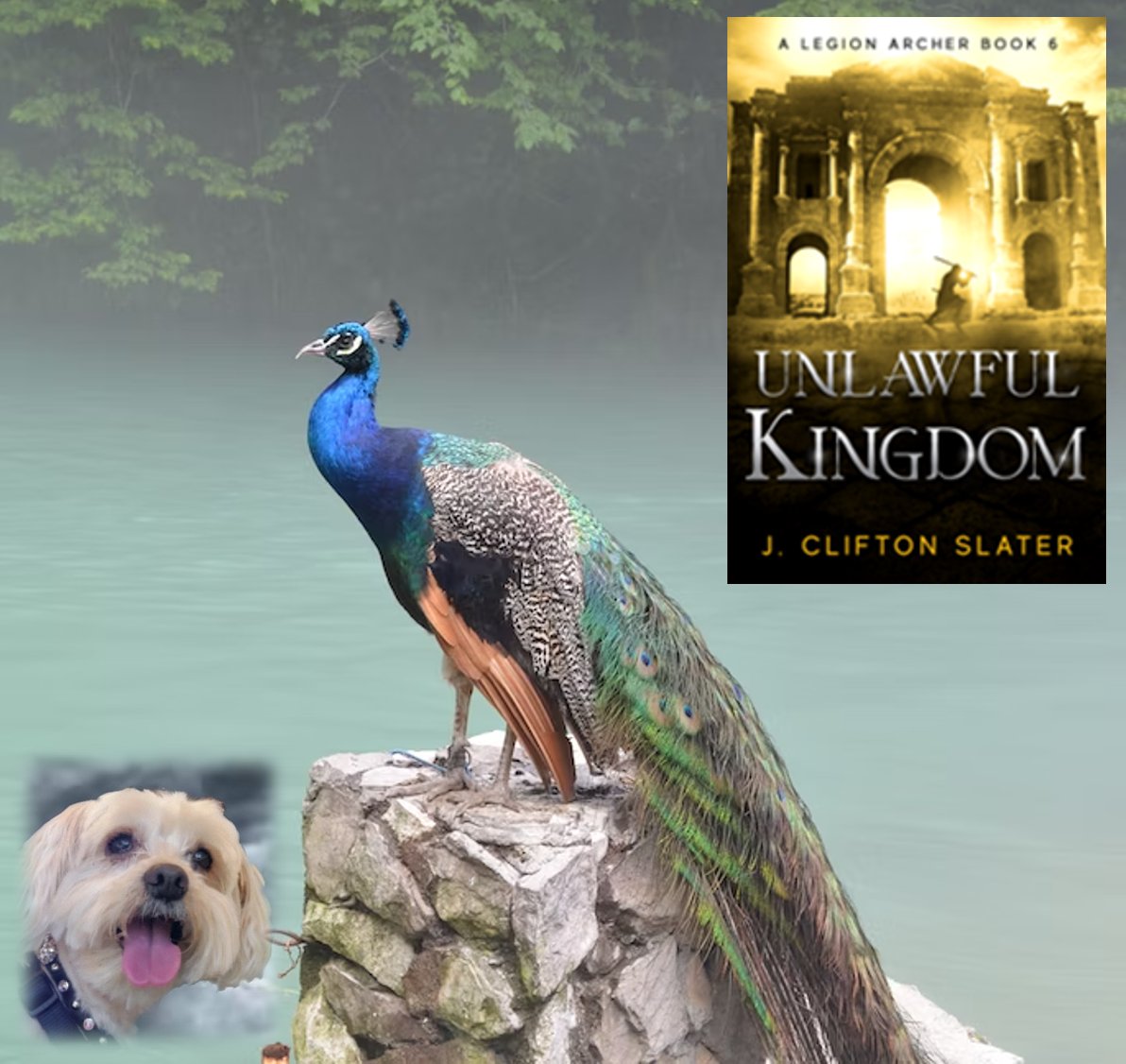 Unlawful Kingdom 209 BC - 207 BC. General Cornelius Scipio attempts to find a reason for peace or for a blood bath in Iberia. He finds both. Now, he has to decide if the day will end with a deadly Legion assault, or glasses of wine in a treaty tent. jcliftonslater.com