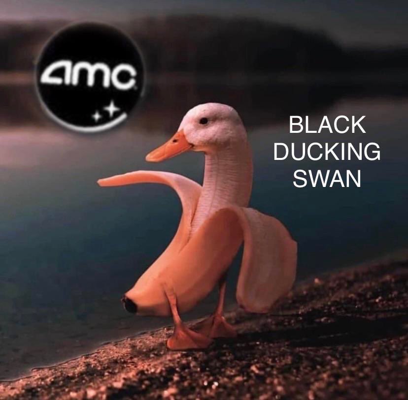AgedMercury's tweet photo. BLACK DUCKING SWAN #atAMC 
#AMC $APE #ApesNotLeaving 
#EatCrow and #CHOKEonTHAT 
#IRideWithAdam https://t.co/C132E0a50U