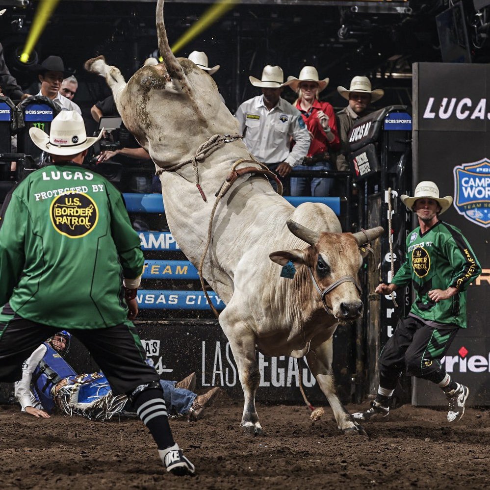 PBR tweet picture
