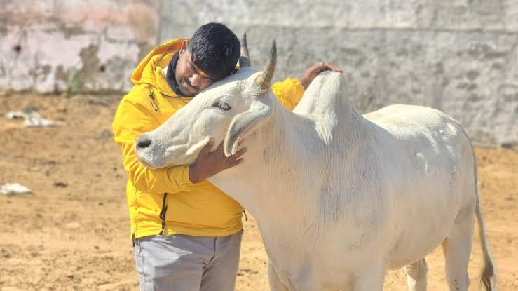 Cows are supreme beings. 
A huge salute to all those heroes who are trying their best to save these inncoent beings who are murdered just for representing the Hindu civilization.