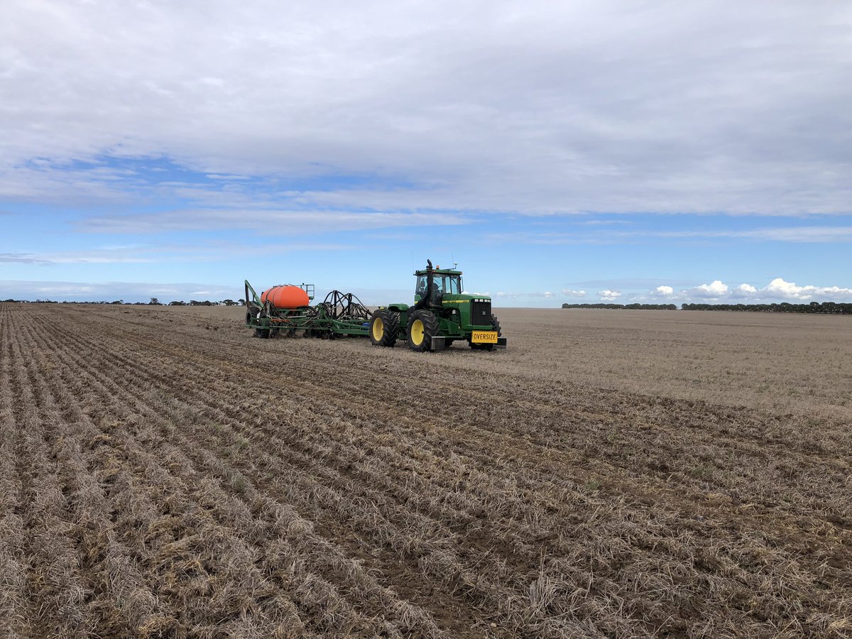 Adam Cook tweet media