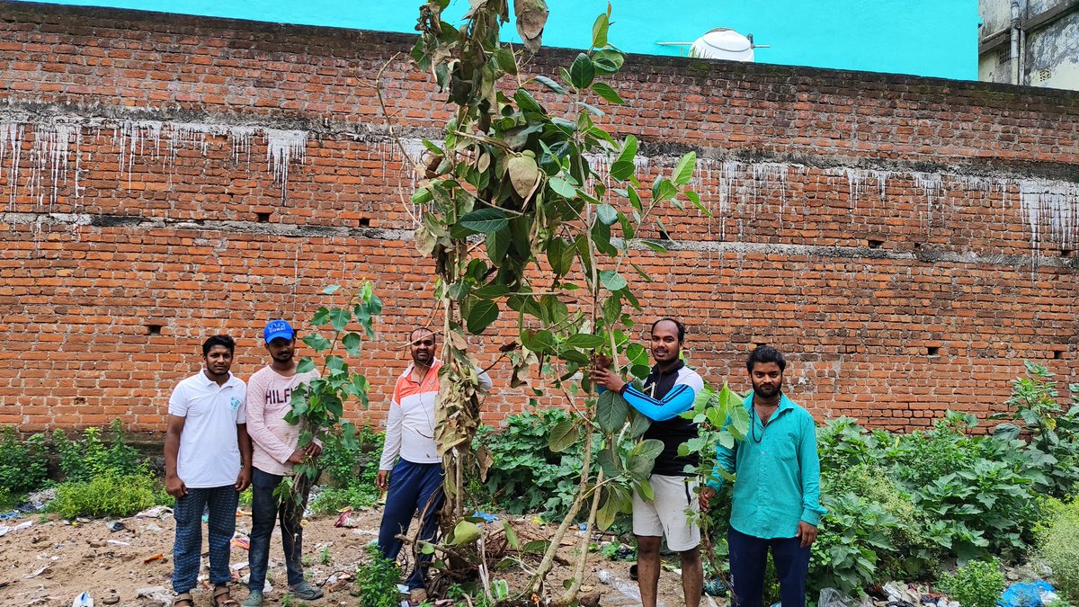 SabujaBahini's tweet photo. On the occasion of world nature conservation day we collect more than 40 peepal and banayan tree 🌲 for saving our nature,by the help of team Berhampur sabuja Bahini at berhampur, Ganjam, odisha https://t.co/43mNQDri8s